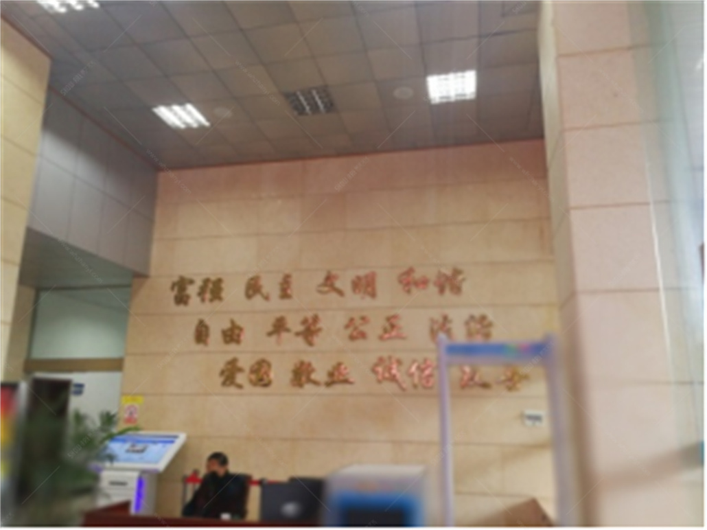 大厅背景浮雕 (1).jpg